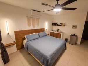 TAYGA STUDIOS Cancun