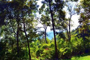 Mountain Retreat Near Grinders Ferry With Complimentary Adventure Package Included- Happy Hawk