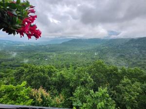 Mountain Retreat Near Grinders Ferry With Complimentary Adventure Package Included- Happy Hawk
