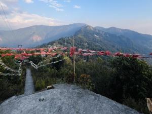 Rocky Top Retreat By StayApart