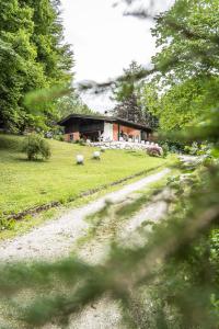 Alpin-Chalet in Alleinlage in Bad Ischl - Wald, Kamin, Sauna und Badeplatz