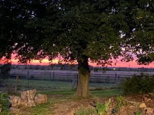 Cosy Cottage - Rural Location Near SkegnessCottage