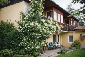 Ferienwohnungen Vidoni