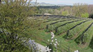 Pension Maria Wallner