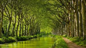 Maisons de vacances Gite La Chartreuse du Canal du Midi : Appartement avec Terrasse