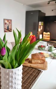 Eigenen Unterkunft I Vierländereck I Natur I St Gallen