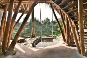 Bamboo Hill