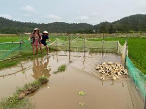 Coto Center Homestay