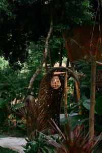 Bamboo Hill