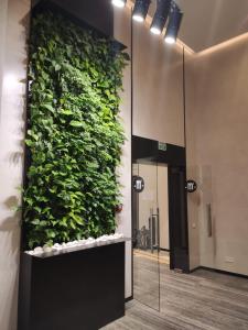 9 МММ ККК НЙ вулиця Антоновича, 74