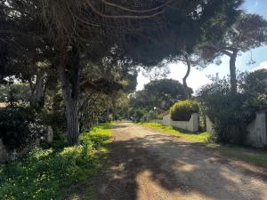 VALLEDORIA Villa a due passi dal mare img15