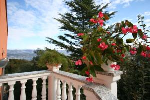 Apartment in Silo - Insel Krk 14534