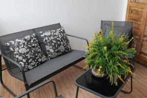 Poggio delle Ginestre Casa Vacanze Torre a Mare Bari Piscina Parcheggio 4 Ospiti