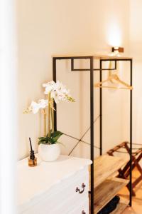 Château Catherine de Montgolfier - B&B et Gites - Piscine - Domaine viticole bio avec dégustation