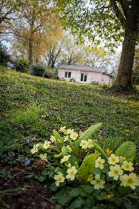 Maisonnette à la campagne