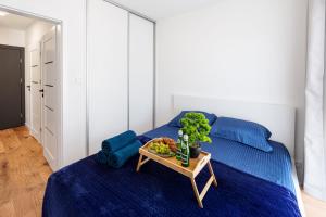 Apartament Parkowy Solidarności 3 Centrum Miasta Rzeszów