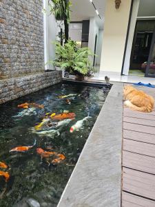 The Dangs Home in Lao Cai