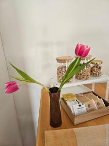 Bellinzona, bed & breakfast di D, alloggio in casa privata con accesso privato con colazione