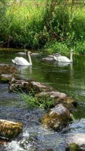 The Hermitage Riverside House
