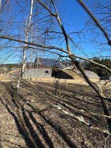 Beechtree Property