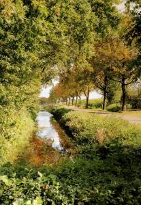 B&B Chili Hoeve