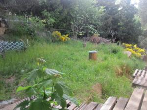 Appartement charmant à Bolquère avec vue montagne, 80 m²
