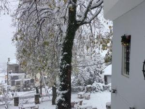 Alchemist Pelion Greece