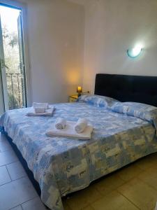 Ibis img20
