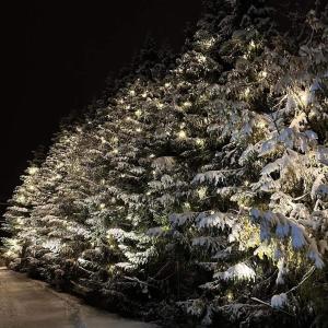 Apartament Premium z widokiem na Tatry Leśna Chata