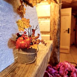 Apartament Premium z widokiem na Tatry Leśna Chata