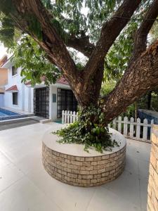 Royal Villa 2 - Luxurious 2BHK Villa with Huge Pvt Swimming Pool