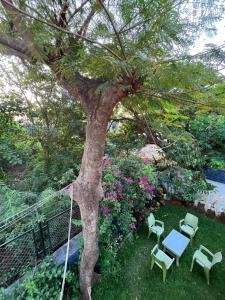 Royal Villa 2 - Luxurious 2BHK Villa with Huge Pvt Swimming Pool