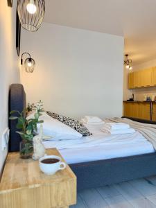 AL-DOM Apartamenty Awangardia 211, w dzielnicy uzdrowiskowej, 300m do morza