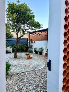 Oliva Studio Design Garden in the Center of Aveiro