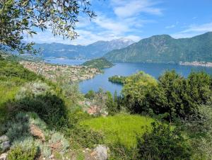 Lake-view chalet with swimming pool