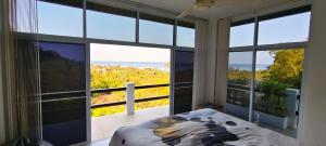 Ocean and Palm View Villa