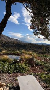 Villa Harmony