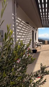 Villa Harmony