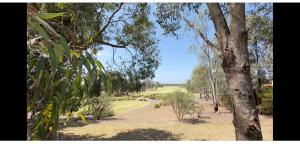 Golf Course Frontage House