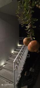 Le Dimore del Sole Tavolara apartment img10