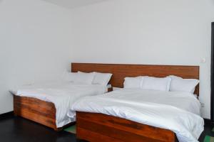 Shiny cot resort