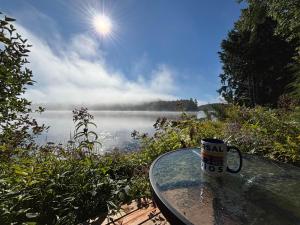 Gîte du Lac-à-la-Loutre - B&B
