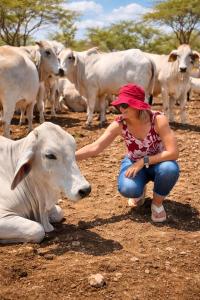 Tarentaal Guest Farm Etosha National Park Namibia