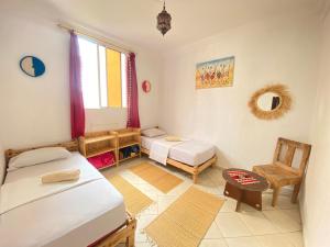 Red Carpet Surf Camp , Surf , Stay And Adventure in Tamraght, Morocco