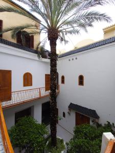 Riad O LY