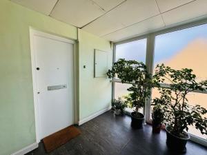 Studio Apartment Free Parking Prime Location