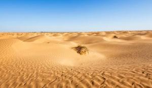 Golden Oasis Lounge ksar ghilane