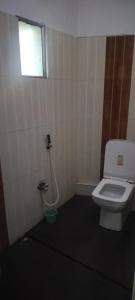 Small Boss Near Sea Beach