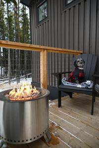 Skyridge Glamping