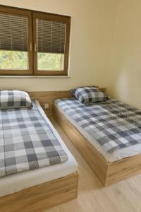 Bursztynowy Horyzont